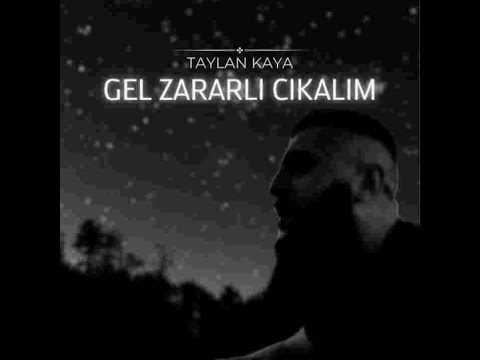 Taylan Kaya - Gel Zararlı Çıkalım [ 2023 Yeni Şarkı ]
