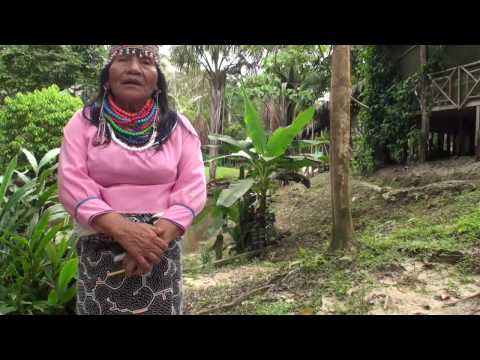 Ikaro by Maestra Rosa