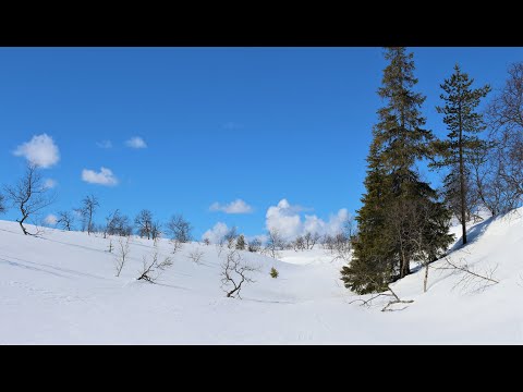 Hiihtovaellus UKK- puistoon toukokuussa 2020. Winter hiking Lapland.