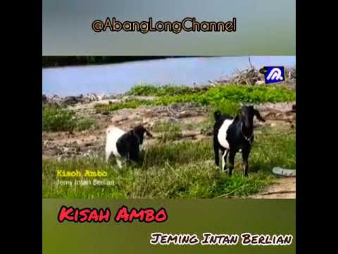 Dikir Kelate// KISAH AMBO //Jeming Intan Berlian