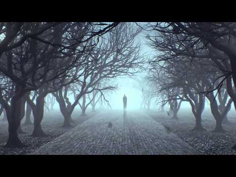 Niklas Harding Pres  Blackout   Shadows Original Mix