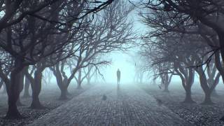 Niklas Harding Pres  Blackout   Shadows Original Mix
