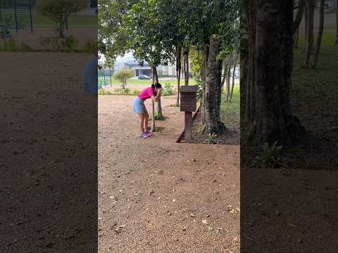 O que está acontecendo?