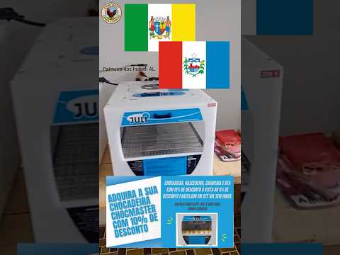 Sonho de consumo realizado em Palmeira dos Índios–AL, com duas chocadeiras Juli 70 de plástico.