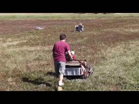 Nantucket Cranberry Festival