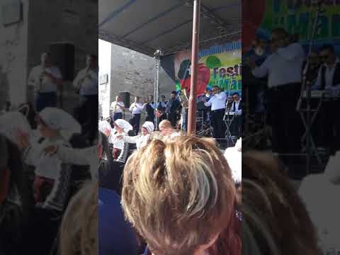 Festivalul Marului Soroca editia 7 (2017)