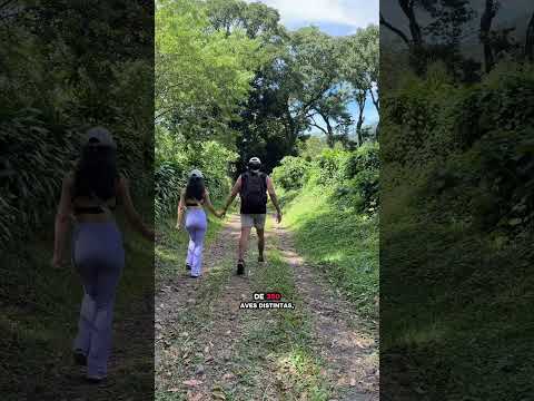 Los Tarrales Reserve en Suchitepequez Guatemala