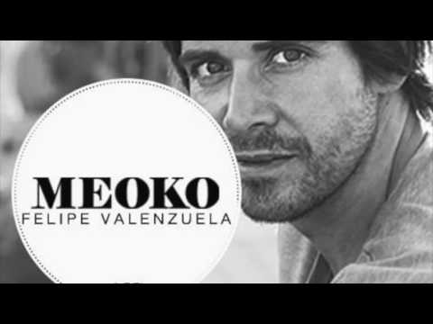 Felipe Valenzuela - Exclusive MEOKO Podcast #167