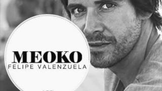 Felipe Valenzuela - Exclusive MEOKO Podcast #167