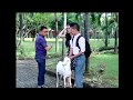 Pengganti Mobil Adit Bawa Ini Nih Sketsa Tawa Eps 29 6 7 GTV