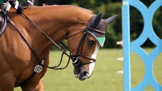 Draw Reins, Side Reins, Martingales, Bits.... Is Extra "Equipment" Hel