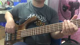 Matt Giraud -part time lover ( bass Cover )