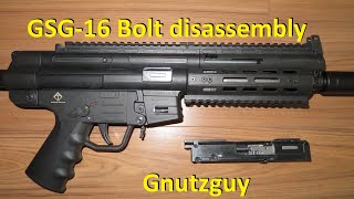 GSG-16 Bolt Full Monty disassembly P2 and reassembly. Also for GSG-15 & ISSC mk22. Read below  *
