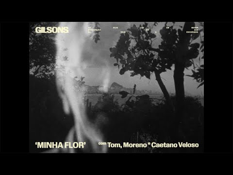 Gilsons Oficial and Caetano Veloso