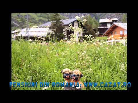 VAND PENSIUNE - Cazat.ro