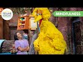 How Big Bird And Kat Graham Use Yoga To Help Fall Asleep Mindfulness Moments
