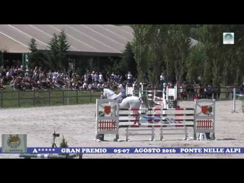 2006 gelding HOLST Cassini I x Cantus