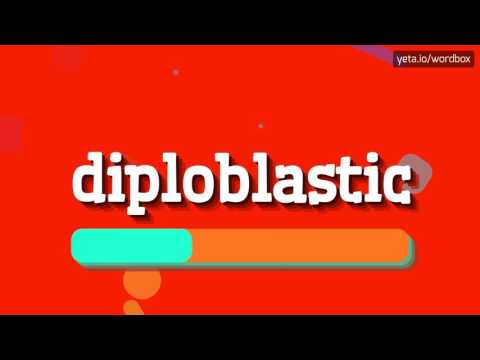 DIPLOBLASTIC - HOW TO PRONOUNCE IT!?