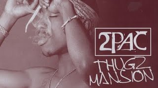 Tupac ft. Nas - Thugz Mansion Acoustic NY Remix  #2pac #tupac #thuglife #nas #nyc #remix