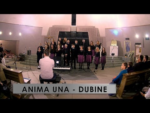 Zbor Anima Una - Dubine (Oceans cover)
