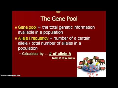 Biology One Population Genetics