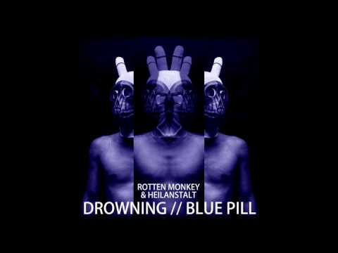 Rotten Monkey & Heilanstalt - Alles gesehn