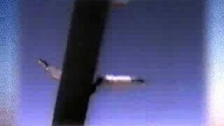 Fall Free by Alan Parsons