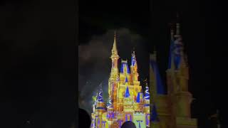 TinkerBell flying over Disney castle💚✨  #disney #disneyworld #disneyfilms #disneyfireworks