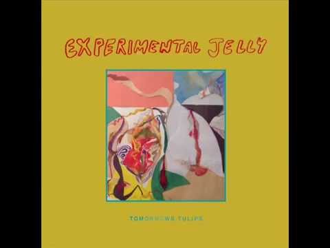 Tomorrows Tulips - Dream Through