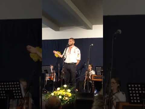 Vladimir Hraško - Plače dievča na brehu Dunaja