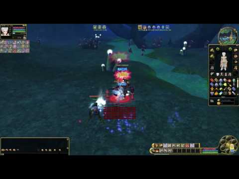 Let´s Play Insanity Flyff E020 - So viele Aggros