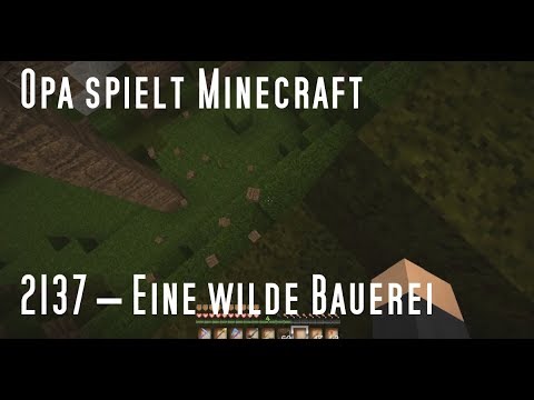 Opa spielt Minecraft 2137 – Eine wilde Bauerei