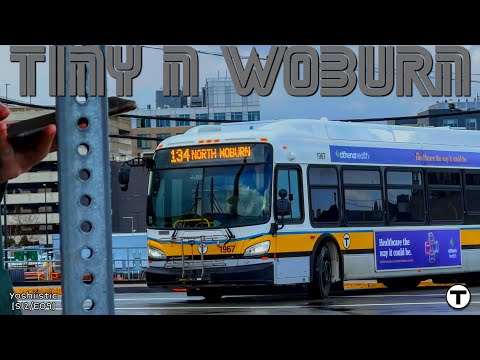 Tiny N. Woburn | Yoshi's Ride Series {S12-E09} - Riding the 134 🚌 - {MBTA} | PATRON REQUEST