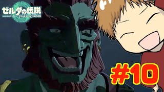 【初見攻略】とにかく楽しむ!! 途中でやめない!!　#10【ゼルダの伝説 ティアーズ オブ ザ キングダム】