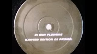 {Vinyl} Vincent De Moor - Sun Followers