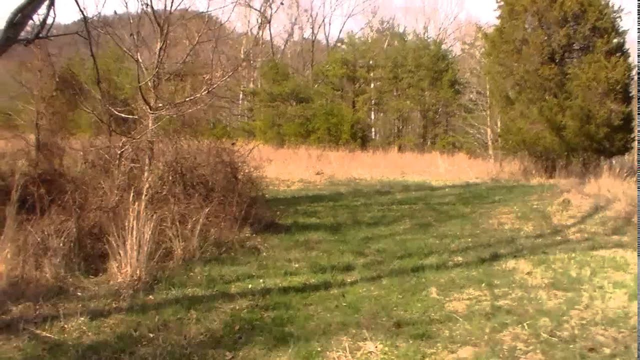 Identifying Whitetail Sign: How to Scout Premier Hunting Leases