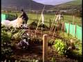 RTE One Ident November 2006 To Present Wrap Up