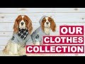 OUR CLOTHES COLLECTION | Dog Clothing Accessories Bandanas | Herky The Cavalier