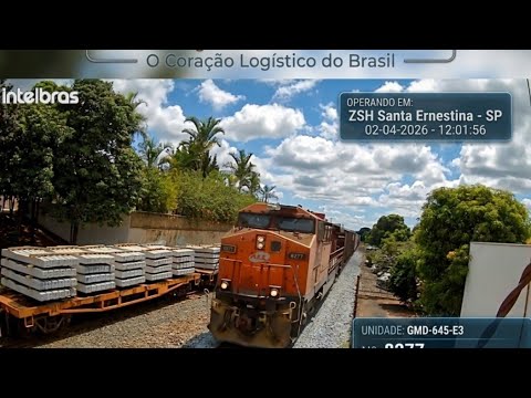 TREM AO VIVO SANTA ERNESTINA SP BRASIL