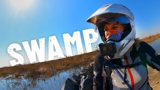 An eerie swamp in Botswana [S5 - Eps. 68]