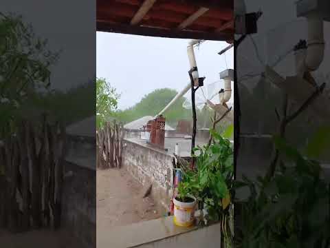 Chuva boa em Olivedos PB