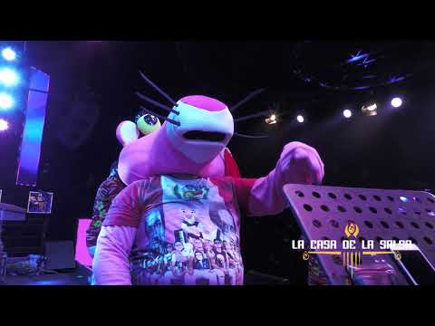 La Chica de Chicago - Zaperoco - La casa de la Salsa - 12/12/2020