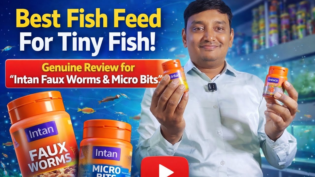 Best Fish Feed for Tiny Fish | Genuine Review of Intan Faux Worms & Micro Bits |#FauxWorms #microbit