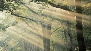 Download lagu 久石譲 Green Requiem Joe Hisaishi mp3 Download lagu 久石譲 Green Requiem Joe Hisaishi mp3