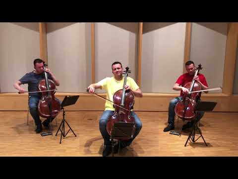 Dinicu - Hora Staccato - arr. for 3 Cellos - Gabriel Faur x 3