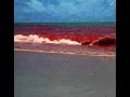 Blood Red waters in Brazil! 