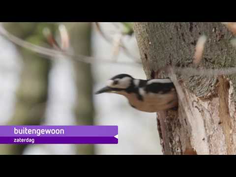 BuitenGewoon 2017 gaat van start