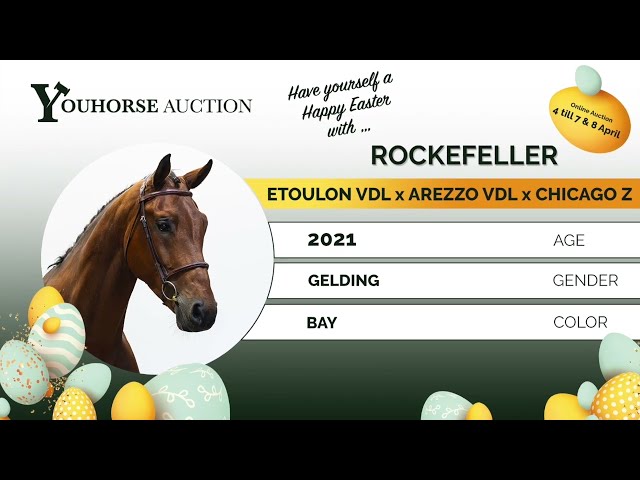 Rockefeller impressionvideo