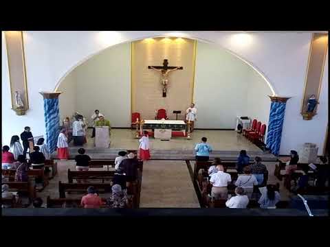 15º DOMINGO DO TEMPO COMUM - Ano C - Missa das 10h