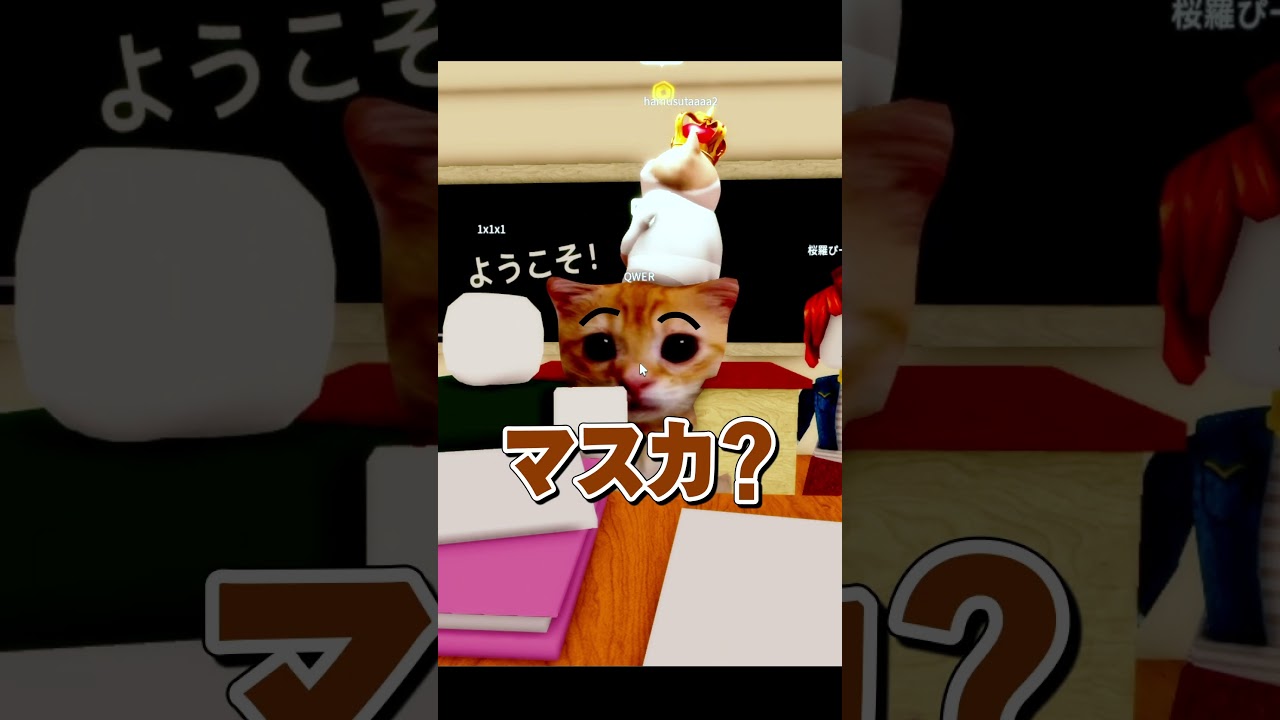 ついに韓国人の猫先生、ブチギレるwwwwwwwwww《韓国猫先生の暴走②》【ロブロックス/ROBLOX】#ロブロックス #roblox  #まるる